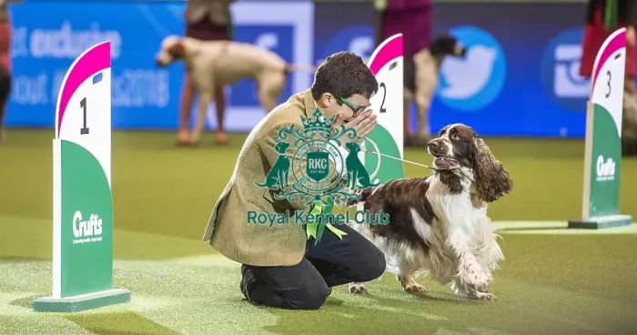 Framed Print : Crufts 2018 Framed Print : Crufts 2018
