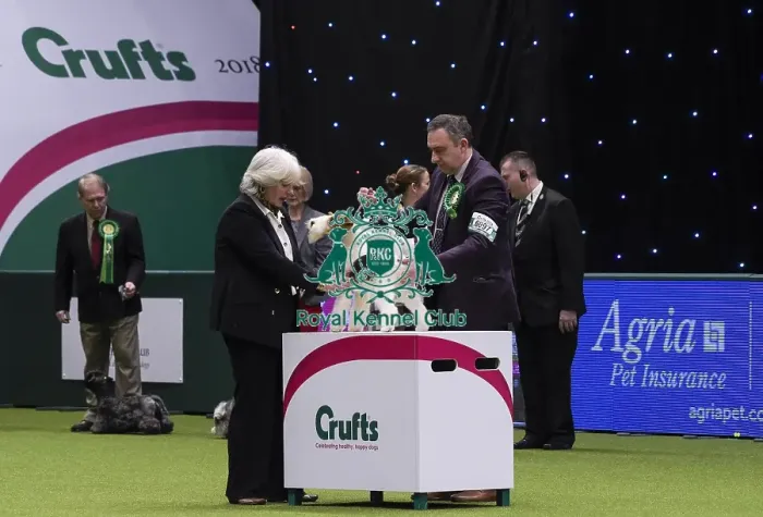 Framed Print : Crufts 2018 Framed Print : Crufts 2018
