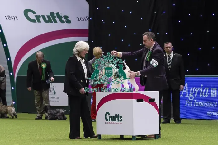 Framed Print : Crufts 2018 Framed Print : Crufts 2018