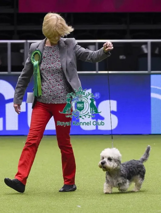 Framed Print : Crufts 2018 Framed Print : Crufts 2018