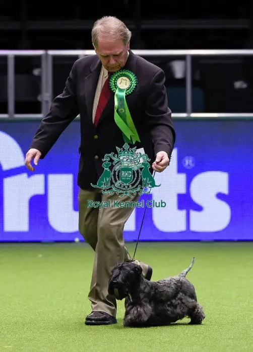 Framed Print : Crufts 2018 Framed Print : Crufts 2018