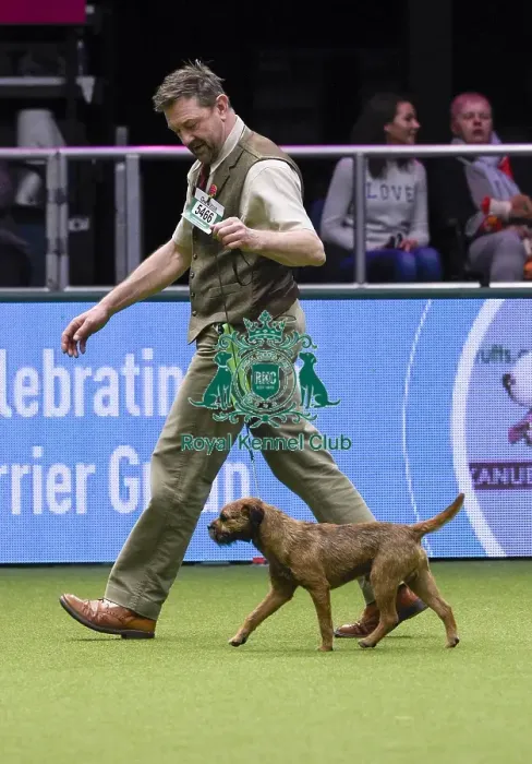 Framed Print : Crufts 2018