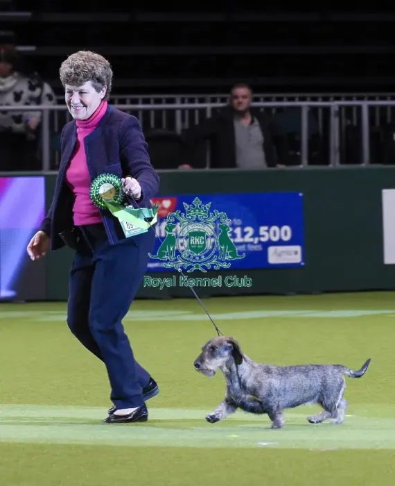 Framed Print : Crufts 2018 Framed Print : Crufts 2018