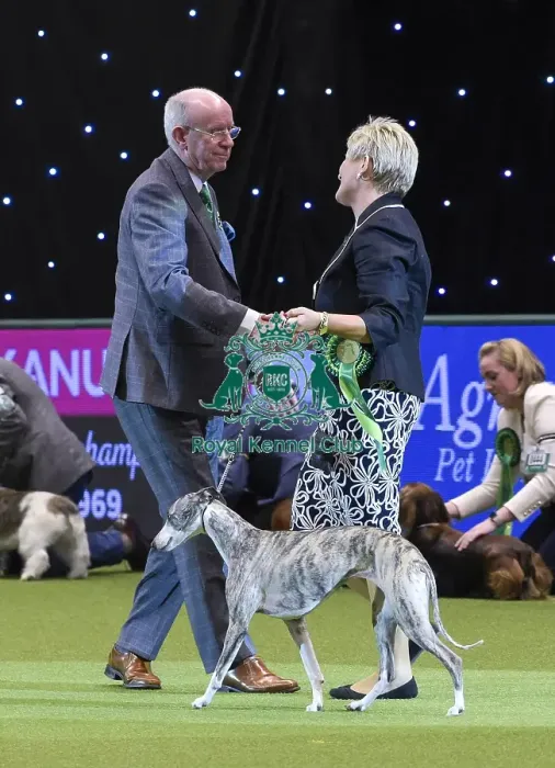 Framed Print : Crufts 2018 Framed Print : Crufts 2018