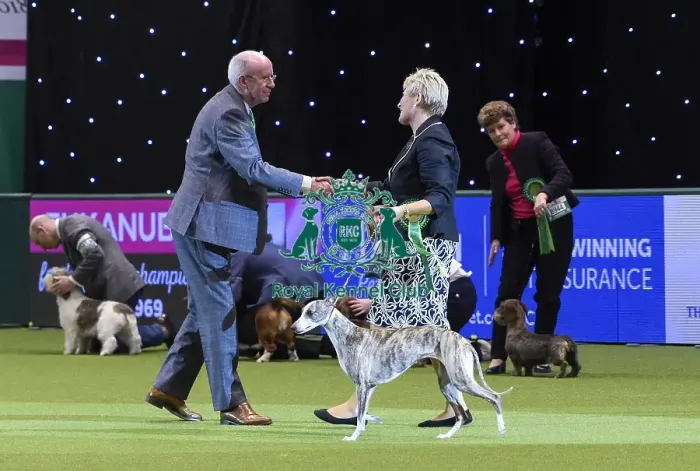 Framed Print : Crufts 2018 Framed Print : Crufts 2018