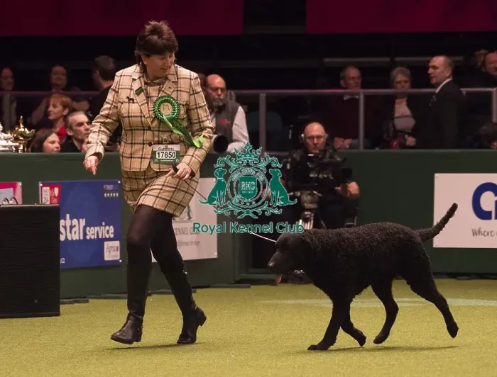 Framed Print : Crufts 2018 Framed Print : Crufts 2018