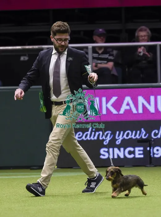 Framed Print : Crufts 2018 Framed Print : Crufts 2018