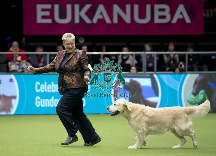 Framed Print : Crufts 2018 Framed Print : Crufts 2018
