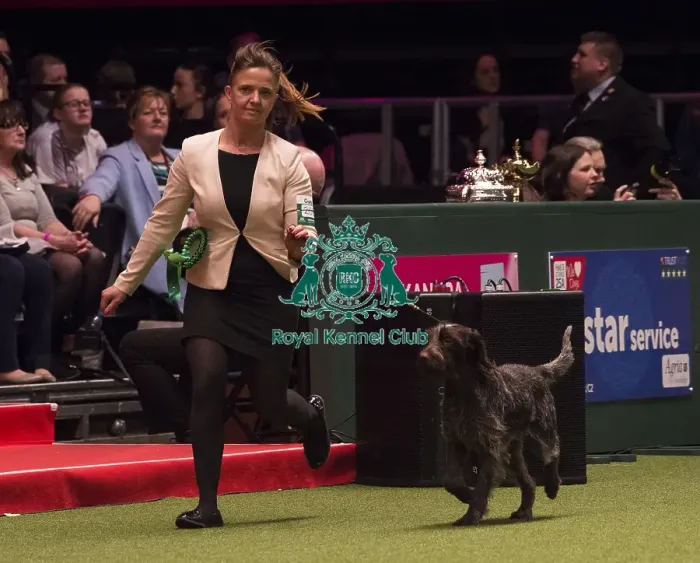 Framed Print : Crufts 2018
