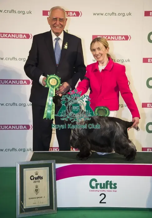 Framed Print : Crufts 2018 Framed Print : Crufts 2018