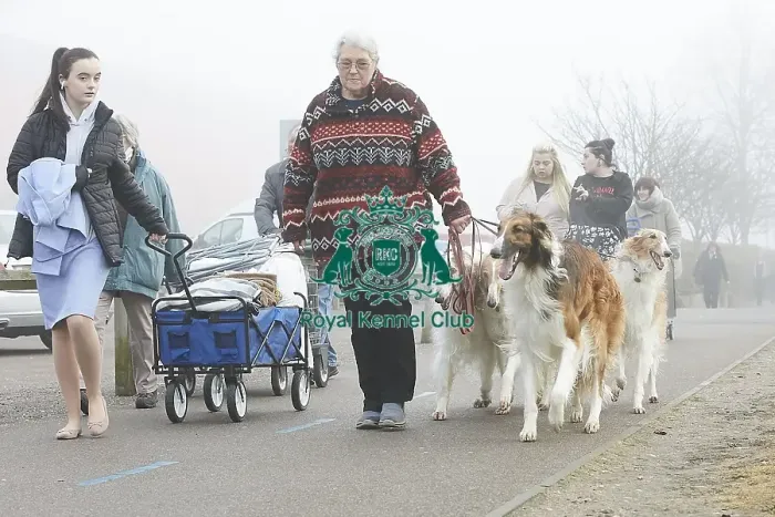 Framed Print : Crufts 2018 Framed Print : Crufts 2018