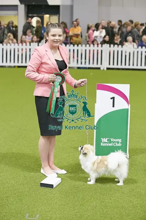 Framed Print : Crufts 2018 Framed Print : Crufts 2018