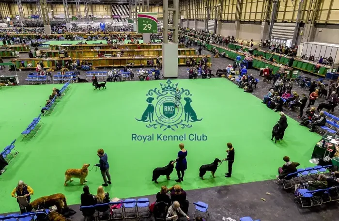 Framed Print : Crufts 2018 Framed Print : Crufts 2018