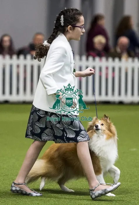 Framed Print : Crufts 2018 Framed Print : Crufts 2018