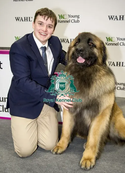 Framed Print : Crufts 2018 Framed Print : Crufts 2018