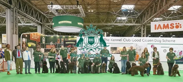 Framed Print : Crufts 2018 Framed Print : Crufts 2018