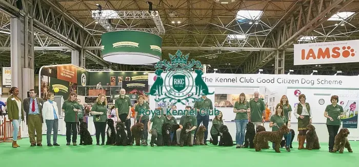 Framed Print : Crufts 2018 Framed Print : Crufts 2018