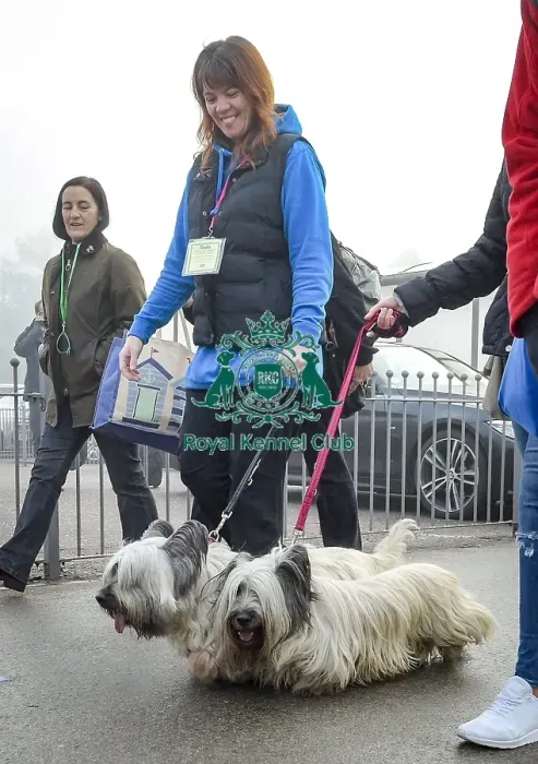 Framed Print : Crufts 2018 Framed Print : Crufts 2018