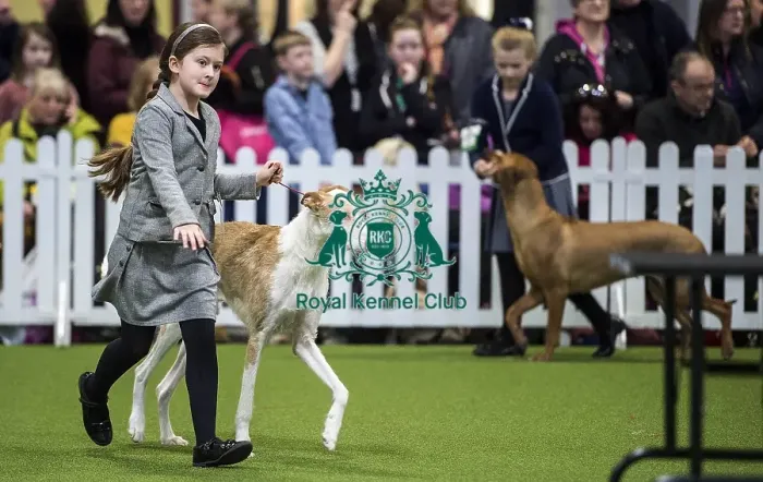 Framed Print : Crufts 2018