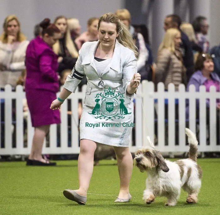 Framed Print : Crufts 2018 Framed Print : Crufts 2018