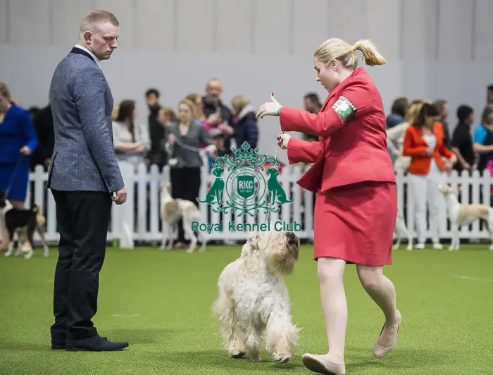 Framed Print : Crufts 2018 Framed Print : Crufts 2018