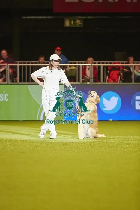 Framed Print : Crufts 2018 Framed Print : Crufts 2018