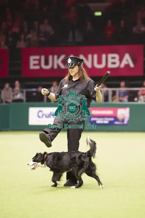 Framed Print : Crufts 2018 Framed Print : Crufts 2018