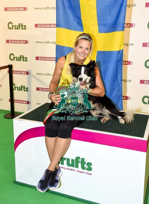 Framed Print : Crufts 2018 Framed Print : Crufts 2018