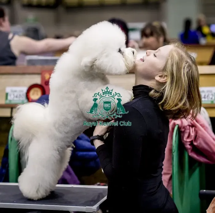 Framed Print : Crufts 2018