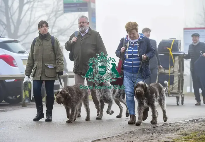 Framed Print : Crufts 2018 Framed Print : Crufts 2018