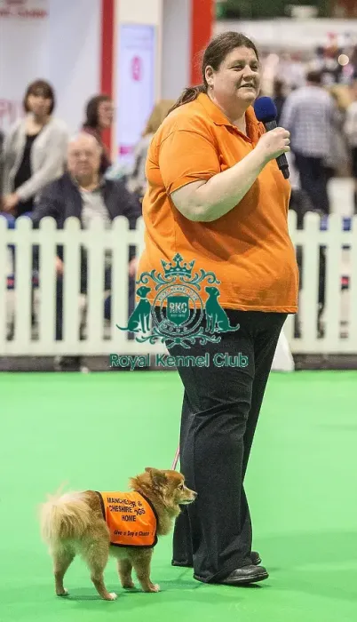 Framed Print : Crufts 2018 Framed Print : Crufts 2018