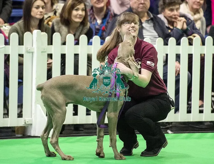 Framed Print : Crufts 2018