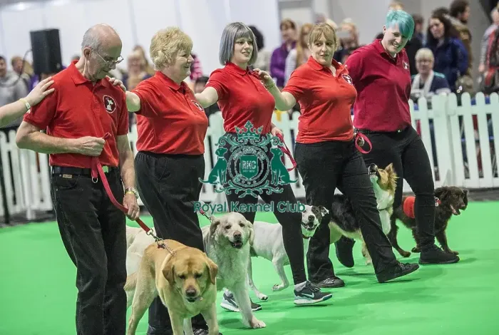 Framed Print : Crufts 2018