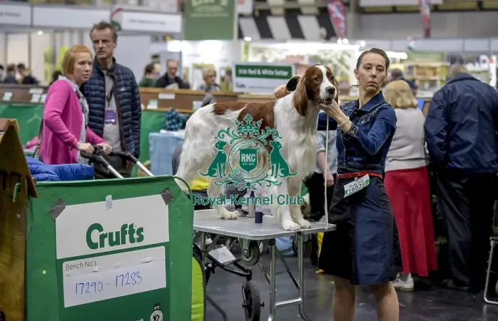 Framed Print : Crufts 2018 Framed Print : Crufts 2018