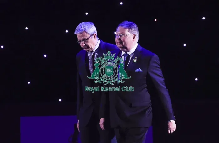 Framed Print : Crufts 2019 - Best in Show Framed Print : Crufts 2019 - Best in Show