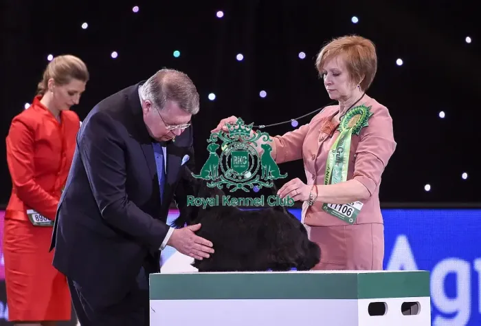 Framed Print : Crufts 2019 - Best in Show Framed Print : Crufts 2019 - Best in Show