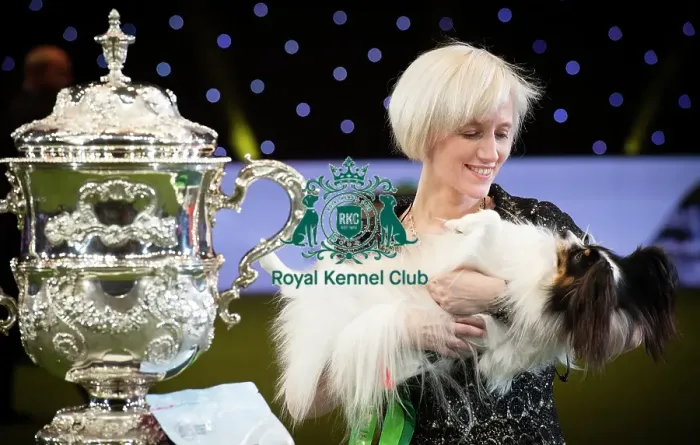 Framed Print : Crufts 2019 - Best in Show Framed Print : Crufts 2019 - Best in Show