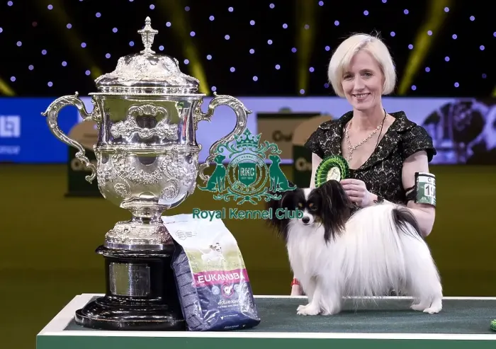 Framed Print : Crufts 2019 - Best in Show Framed Print : Crufts 2019 - Best in Show