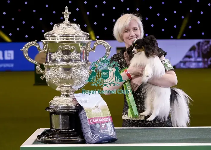 Framed Print : Crufts 2019 - Best in Show Framed Print : Crufts 2019 - Best in Show