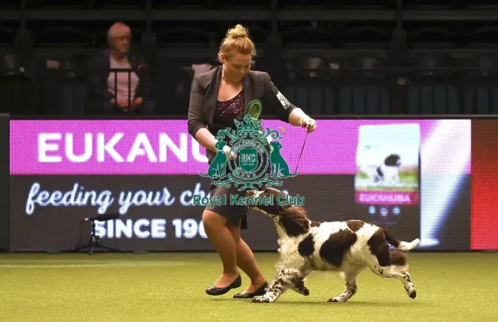 Framed Print : Crufts 2019 - Best of Breed Framed Print : Crufts 2019 - Best of Breed