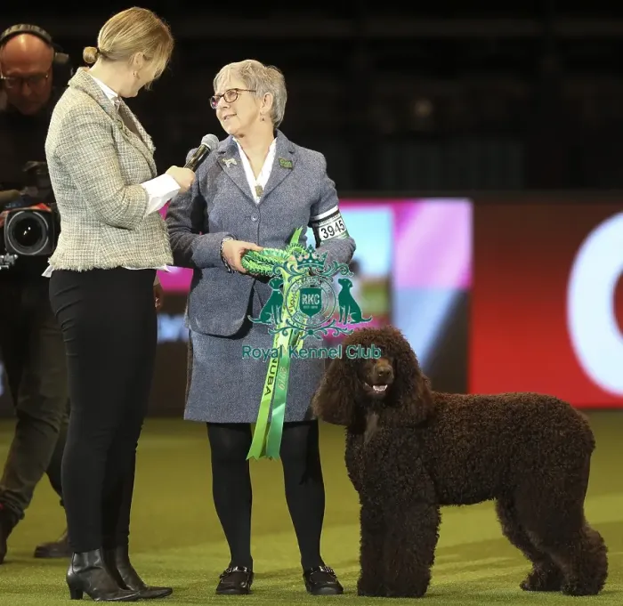Framed Print : Crufts 2019 - Best of Breed Framed Print : Crufts 2019 - Best of Breed