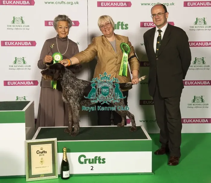 Framed Print : Crufts 2019 - Best of Breed Framed Print : Crufts 2019 - Best of Breed