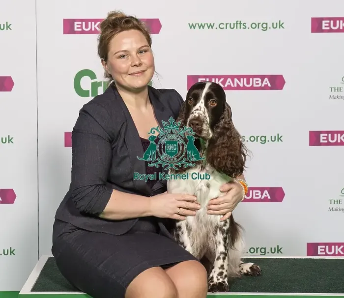 Framed Print : Crufts 2019 - Best of Breed / Gundog Framed Print : Crufts 2019 - Best of Breed / Gundog