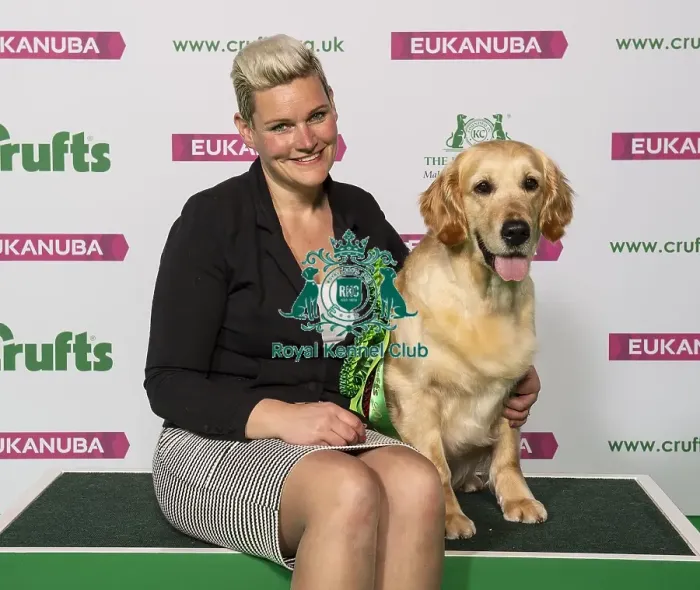 Framed Print : Crufts 2019 - Best of Breed / Gundog Framed Print : Crufts 2019 - Best of Breed / Gundog