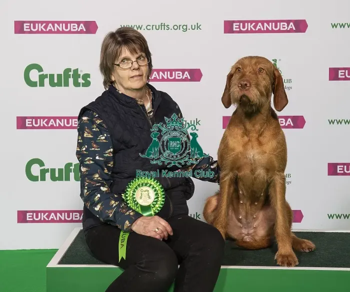 Framed Print : Crufts 2019 - Best of Breed / Gundog Framed Print : Crufts 2019 - Best of Breed / Gundog