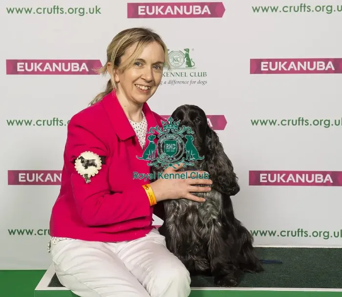 Framed Print : Crufts 2019 - Best of Breed / Gundog Framed Print : Crufts 2019 - Best of Breed / Gundog