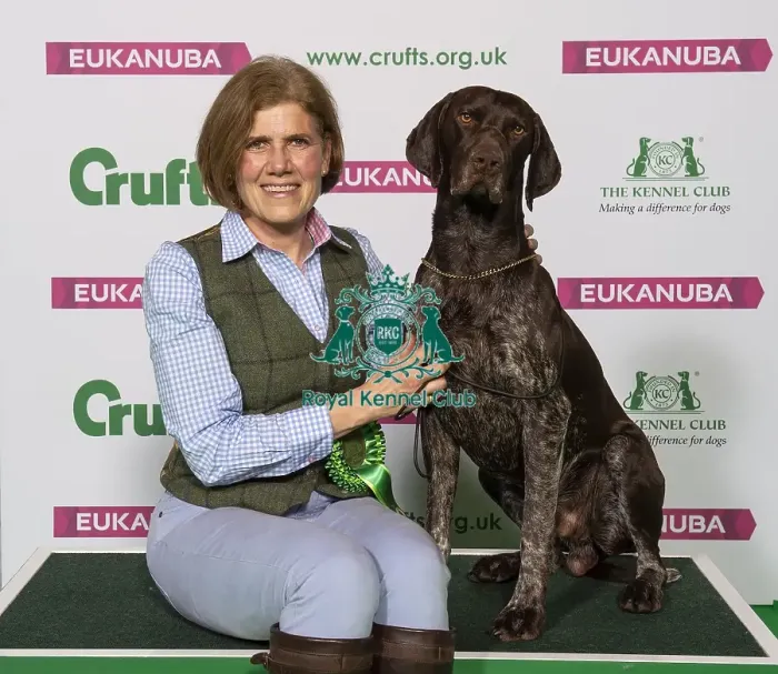 Framed Print : Crufts 2019 - Best of Breed / Gundog Framed Print : Crufts 2019 - Best of Breed / Gundog