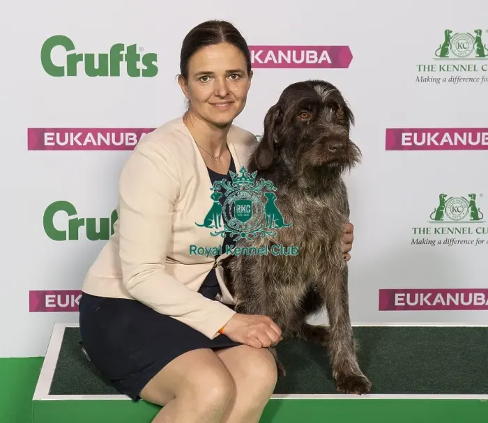 Framed Print : Crufts 2019 - Best of Breed  /  Gundog