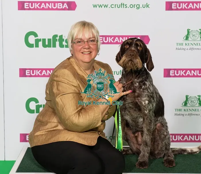Framed Print : Crufts 2019 - Best of Breed / Gundog Framed Print : Crufts 2019 - Best of Breed / Gundog