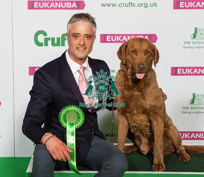 Framed Print : Crufts 2019 - Best of Breed / Gundog Framed Print : Crufts 2019 - Best of Breed / Gundog